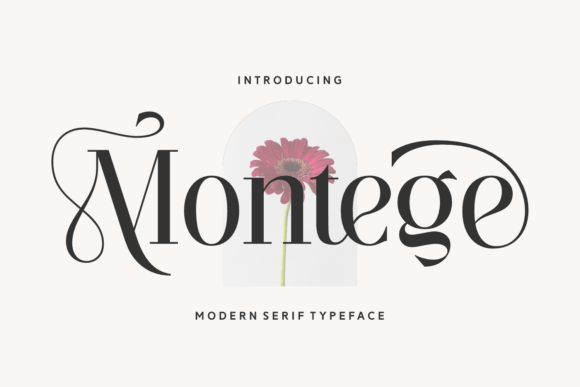 Montege: A Luxury Serif Font for Makers