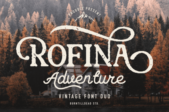 Rofina: The Balanced Font Duo for Campaigns